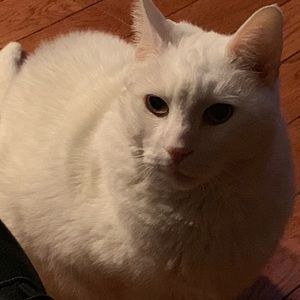 Meet your Posher, Joseph